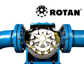 Desmi Rotan